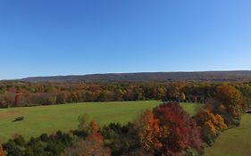 Fenced Yard Chalets From Good Dog Vacations At Big Valley Resort
